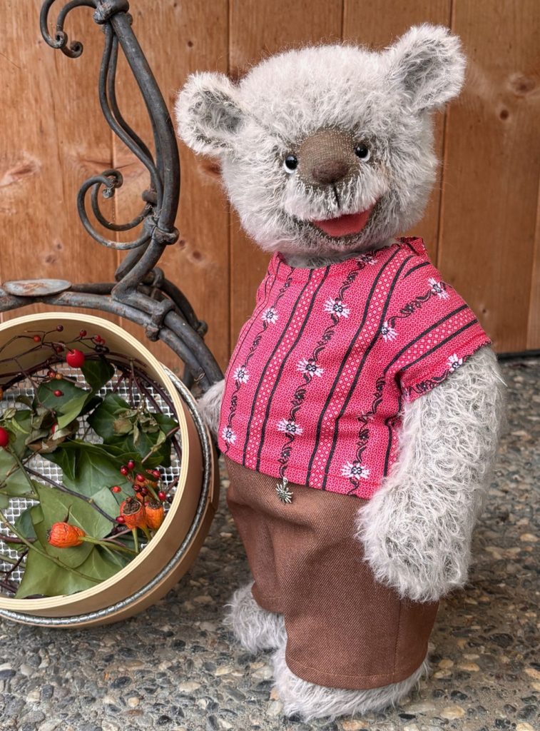 Kleiner Appenzeller klein